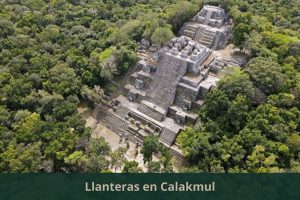 Llanteras en Calakmul