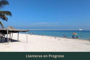 Llanteras en Progreso