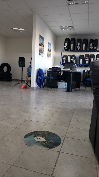 Llantas de Coahuila Sa de Cv en Piedras Negras