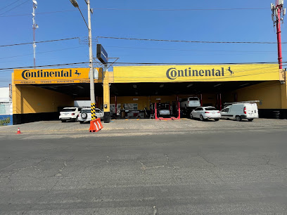 Llantera Euzkadi en Puebla