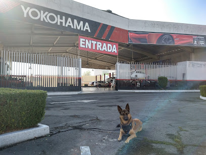 Llantera Yokohama en Metepec