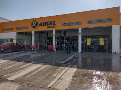 Radial Llantas Tecámac en Tecámac