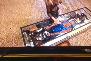 Bridgestone Firestone Lolo’s en Matehuala