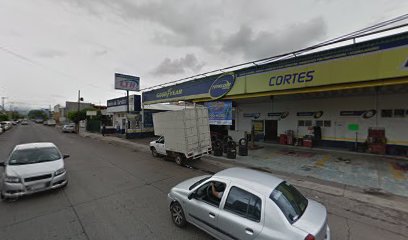 Bridgestone / Firestone en Zamora