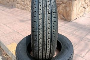 Checollantas en Rioverde