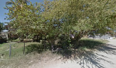 Llantera Buba en Bahía de Banderas