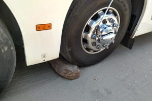 Llantera Lizbeth en Bahía de Banderas