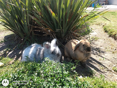 Llantera Movil El Indio Tlajomulco en Tlajomulco de Zúñiga