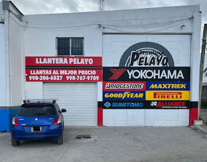 Llantera Pelayo Sureste en Cancún