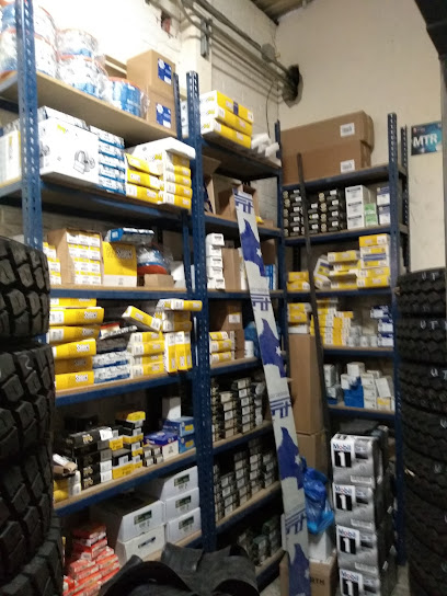 Michelin Los Profesionales En Llantas en Silao