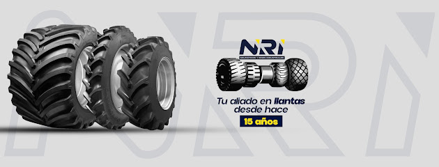 Neumaticos y Rines Industriales S.A de C.V en Morelia