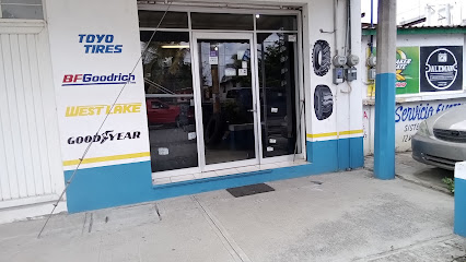 Neumáticos y Servicios en Altamira