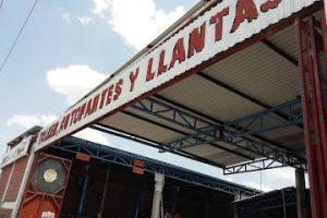 Taller y Llantas Cazapartes Caza Partes en Rioverde