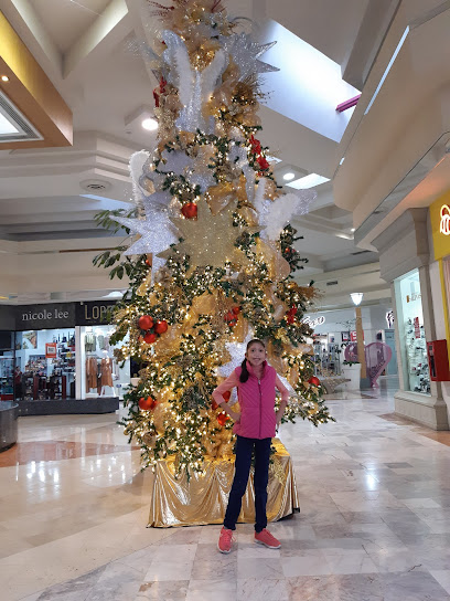 Vulcanizadora en Altamira