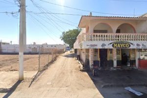 Autocentro Guzmán en Guamúchil