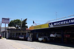 Autoservicios Roig en Actopan