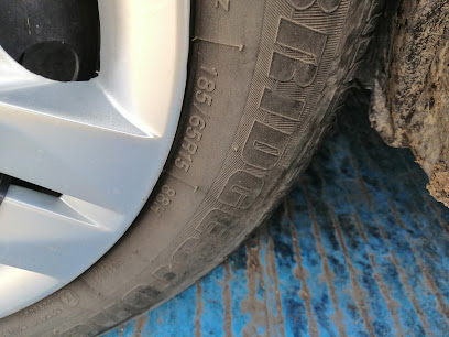 Cortés Rodríguez Otilia en Ciudad Guzmán