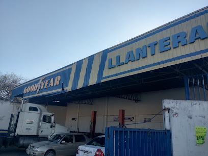 Goodyear Actopan en Actopan
