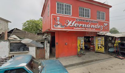 Llantas Cuevas Alamo en Álamo Temapache