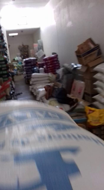 Llantas Leon Algun Numero Para Llamar en La Barca