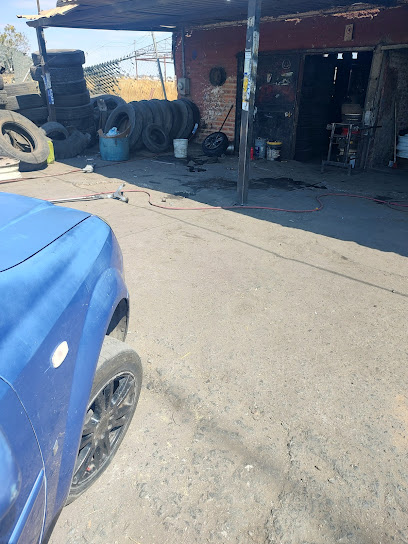 Llantera (Campos Elíseos) en Tepatitlán de Morelos