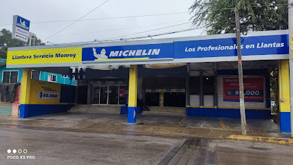 Llantera Michelin Servicio Monroy en Álamo Temapache