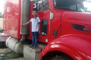 Llantera Motul en Motul