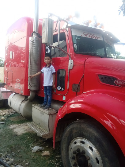 Llantera Motul en Motul