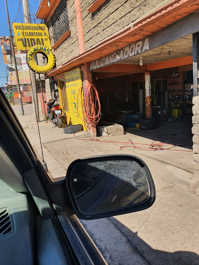 Llantera Vid en Lerma