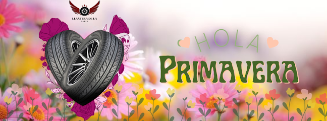 Llantera de La Garza en Linares