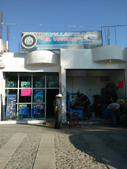 Multillantas El Vivero en Ciudad Guzmán