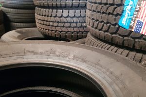 Neumáticos Mexico SA de CV en Fortín