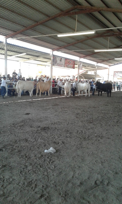 Neumaticos y Accesorios Industriales SA de CV Naccisa en Sabinas