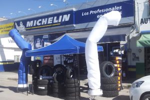 Taller y Llantera del Bosque en San Luis de la Paz