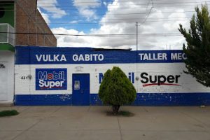 Vulca Gabito en Ojocaliente