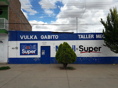 Vulca Gabito en Ojocaliente