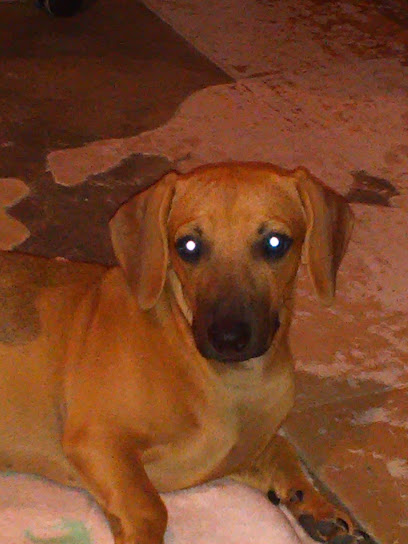 Vulcanizadora Los Compa en Emiliano Zapata