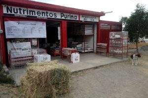 Vulcanizadora Salazar en Yecapixtla