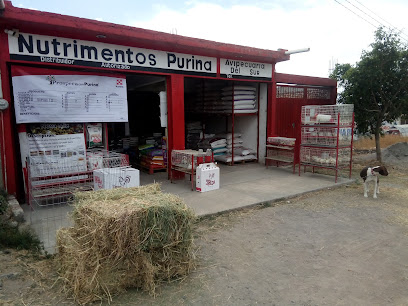 Vulcanizadora Salazar en Yecapixtla
