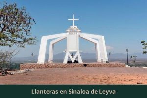 Llanteras en Sinaloa de Leyva