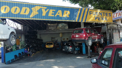 Fuentes Peña en Chapala