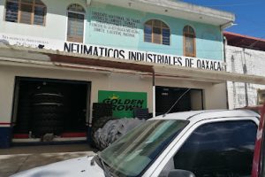 Neumáticos Industriales de Oaxaca en Santa Lucía del Camino