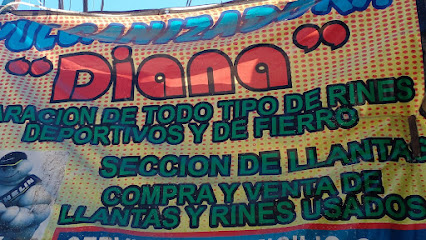 Vulcanizadora Diana Las 24 Horas en Santa Lucía del Camino