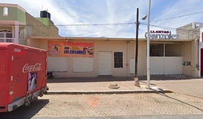 Llantas González en Ayotlán