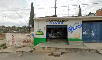 Servicio Automotriz Toral en Coyotepec