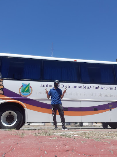 Autocristales Chihuahua en Chihuahua