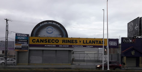 Canseco Rines y Llantas (Carr 57) en San Luis Potosí