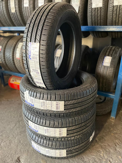 Llantas y Servicios del Sur en Monterrey