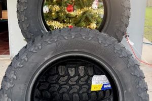 Fast Lane Tire Shop & Auto en Brownsville