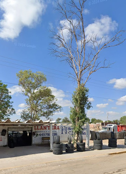 Llantera Hermanos Aranda en Rincón de Romos